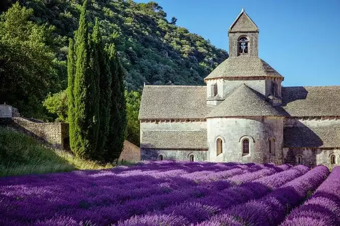 Lavender Beauty Small Group Half Day Tour from Avignon