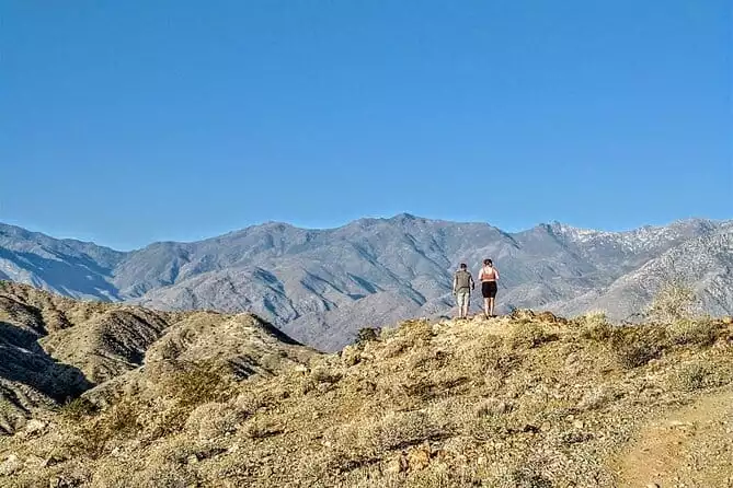 Hike Palm Springs to an Oasis and Beautiful Views