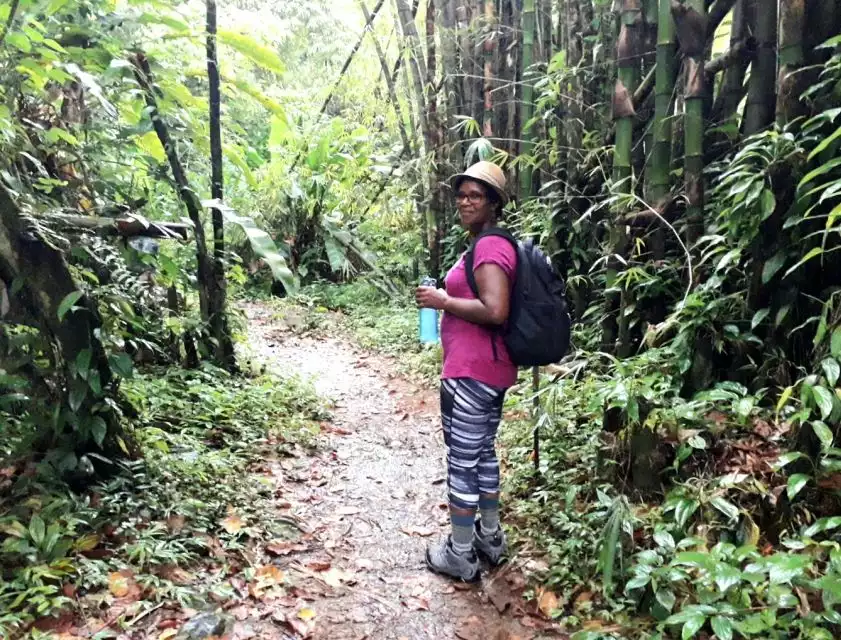 Hiking Adventure Through Grand E'tang RainForest | GetYourGuide