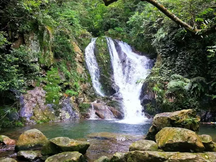 Hong Kong: Tai Mo Shan Waterfall Hike | GetYourGuide