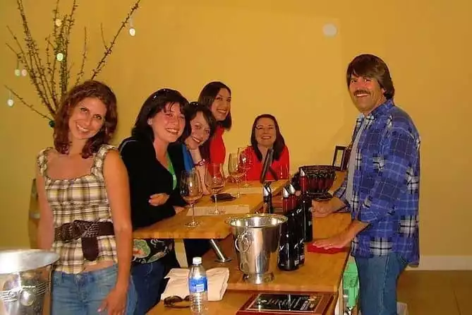 Semi-Private, Modified "Hop-On Hop-Off" Wine Tasting Tour from Paso Robles