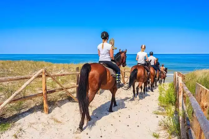 Horse Riding at the Golden Sandy Beach of Antalya