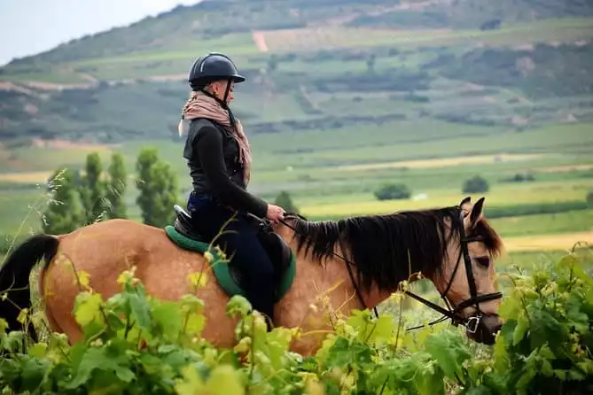 Horseback riding through the vineyards of the Rioja Wine Country