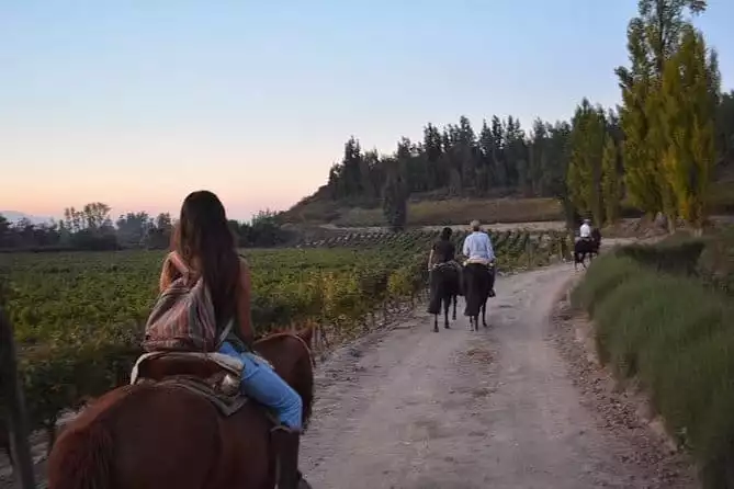 Horseback Private Wine Tour and Country Grill from Santiago