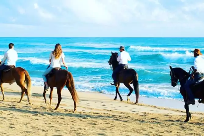 Horseback Riding on a Punta Cana Beach