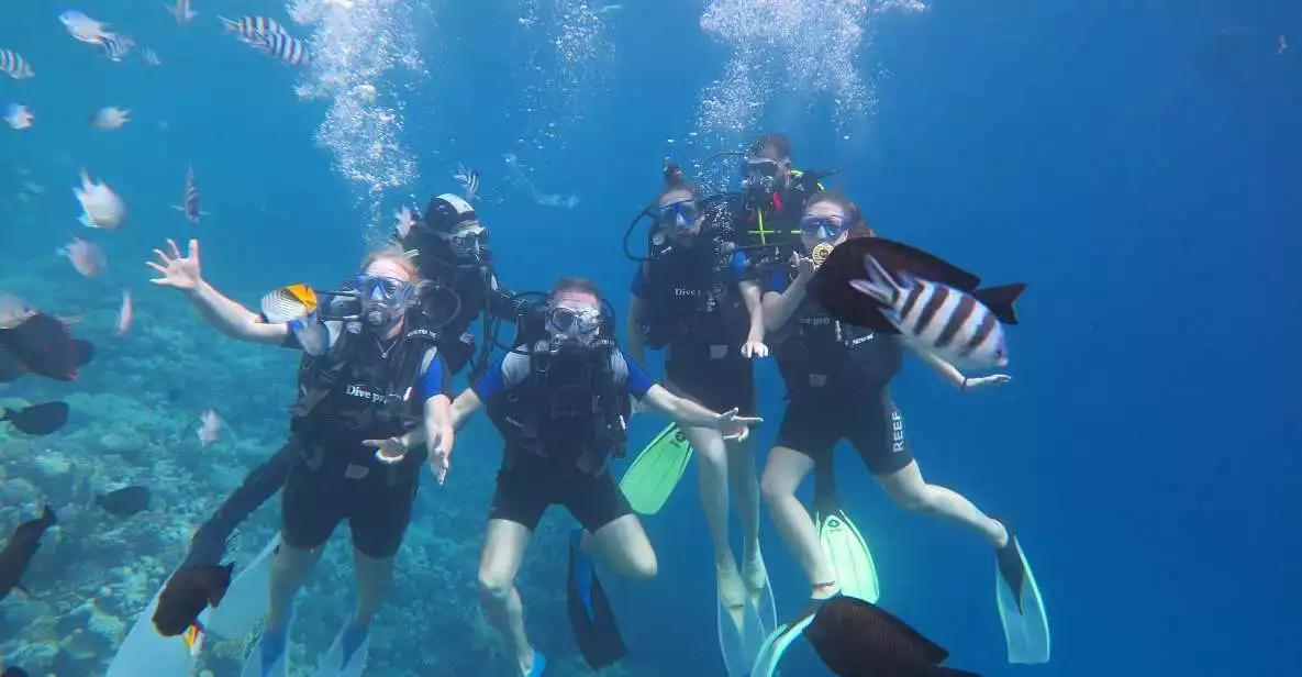 Hurghada: Scuba Diving Adventure | GetYourGuide