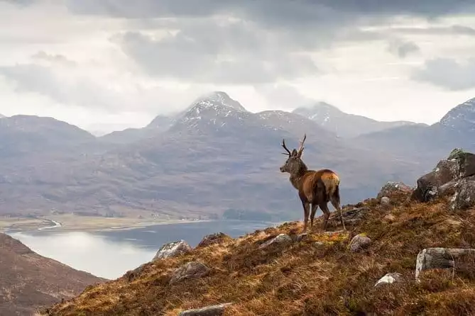 Isle of Skye, The Highlands and Loch Ness - 3 Day Tour from Glasgow