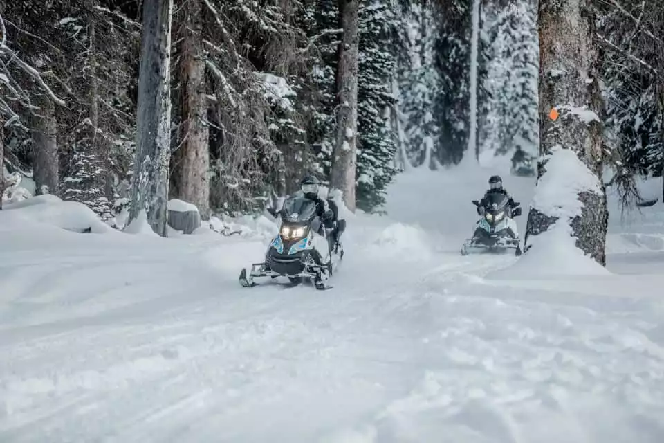 Jackson: Half-Day Classic Snowmobile Tour | GetYourGuide