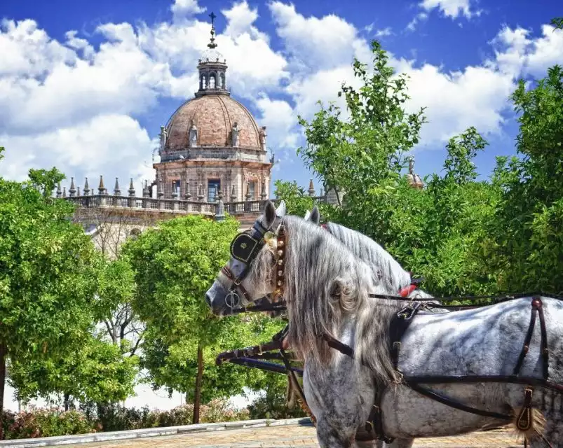 Jerez: Historic Center Guided Tour | GetYourGuide