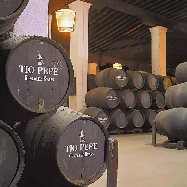 Jerez and Cadiz Wine Tasting and Horse Show Day Tour | GetYourGuide