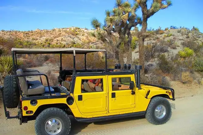 Joshua Tree Hummer Adventure from Palm Desert
