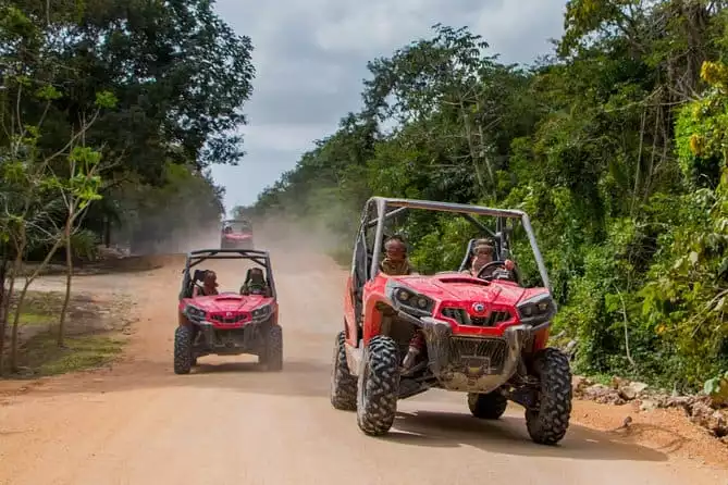 Jungle Buggy Tour from Playa del Carmen Including Cenote Swim