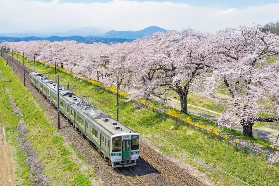 Kansai-Hiroshima JR & Bus Pass | GetYourGuide