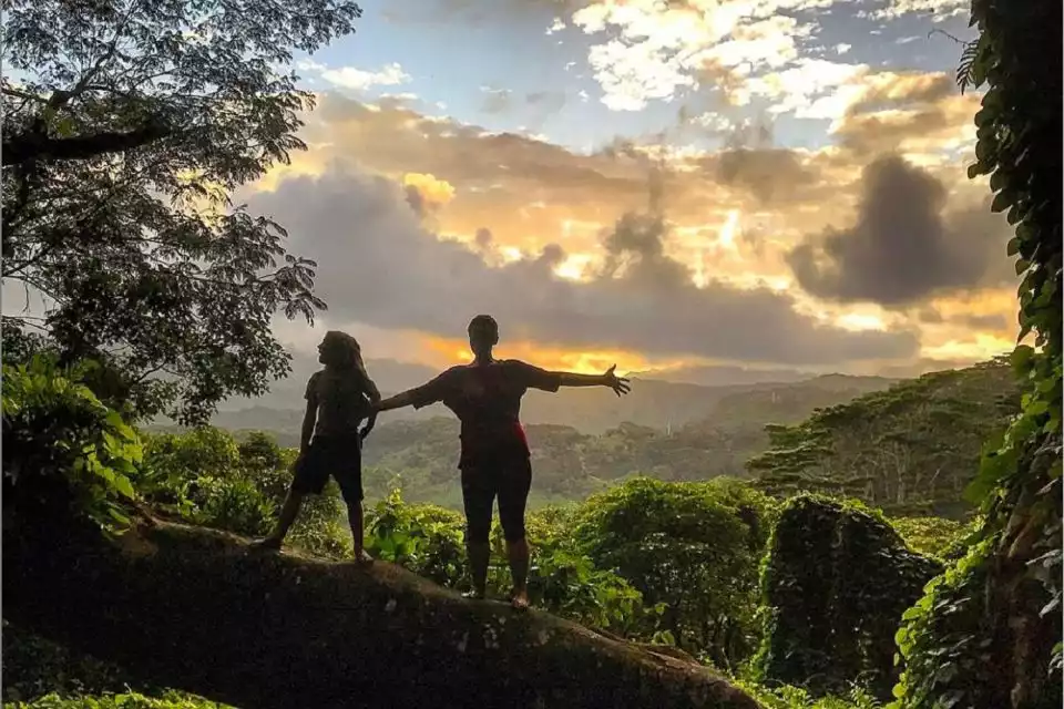 Kauai: Private Jungle and Rainbow Eucalyptus Hike | GetYourGuide