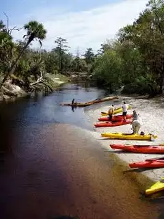 Kayaking the Econlockhatchee River: Day-Trip From Orlando | GetYourGuide