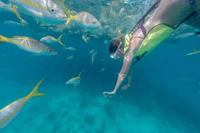 Key West Florida Reef Half-Day Snorkeling Excursion 2022