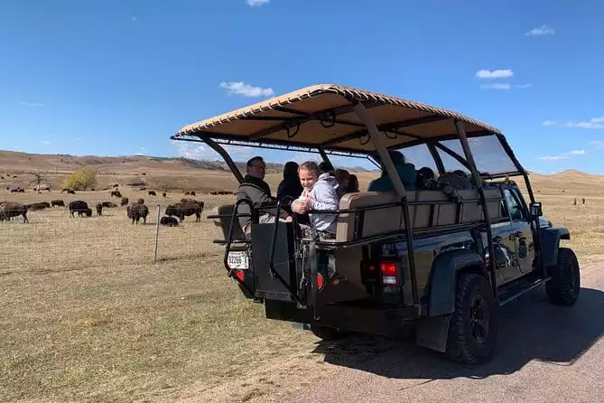 Jeep Bison Safari + (Sylvan Lake, Needles & Iron Mtn) - Public