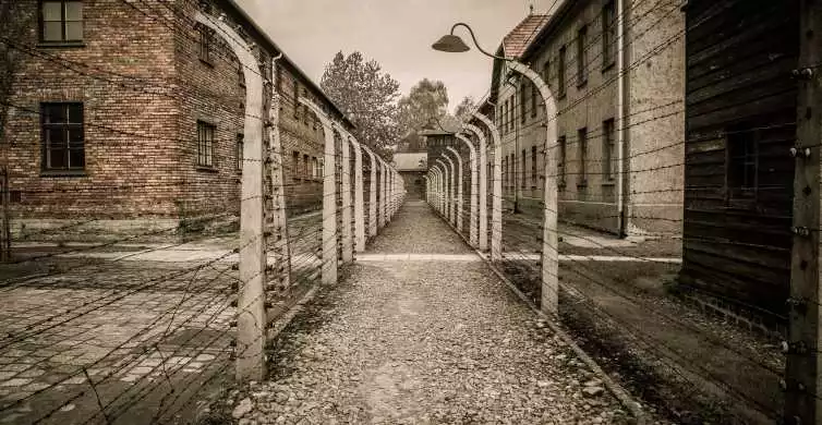 Krakow: Auschwitz-Birkenau & Frames of Memory Morning Tour | GetYourGuide