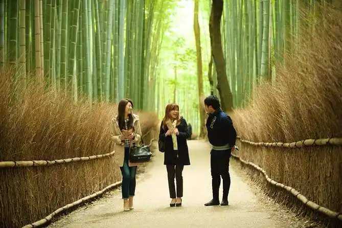 Kyoto Arashiyama Rickshaw Tour with Bamboo Forest