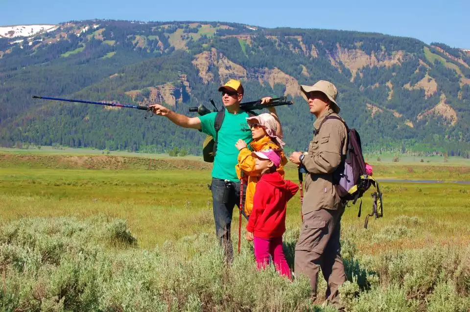 Lamar Valley: Safari Hiking Tour with Lunch | GetYourGuide