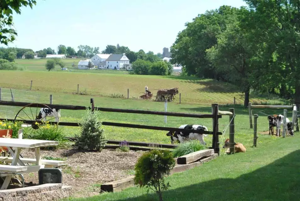 Lancaster: Amish Experience Visit-in-Person Tour of 3 Farms | GetYourGuide