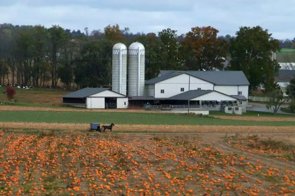 Lancaster: Amish Film, House, and Farmland Experience | GetYourGuide