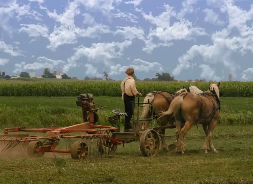 Lancaster County: Amish Farmlands, Museum Tour, Farm Visit | GetYourGuide