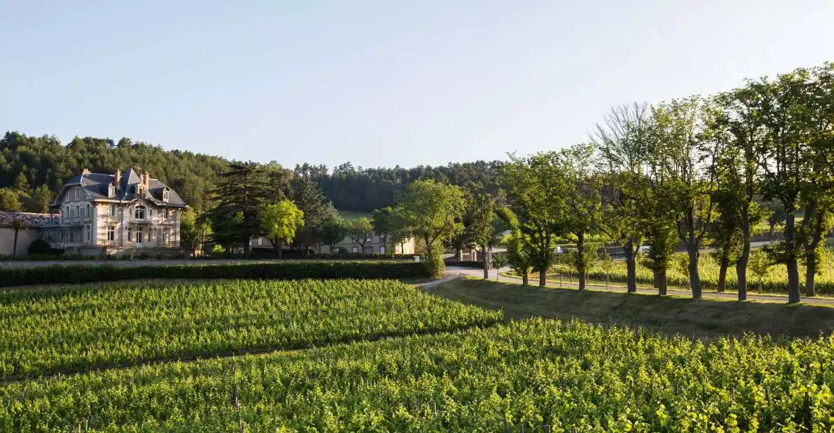 Languedoc: Tour and Tasting at Domaine de Baronarques | GetYourGuide