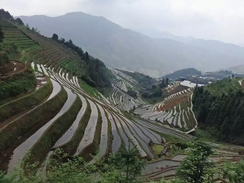 Longji Rice Terraces: Full-Day Private Tour from Guilin | GetYourGuide