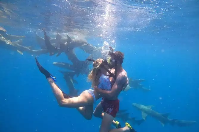 Maafushi: Nurse shark & Dolphin snorkeling with Coral garden experience