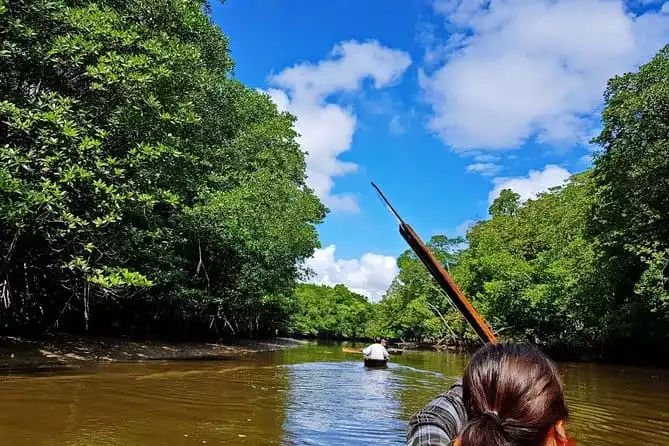 Mangrove Forest Canoeing - Limpaki Wetland