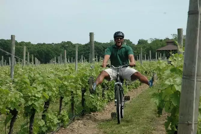 Mattituck Bike Wine Country and Fruit Orchard Tour