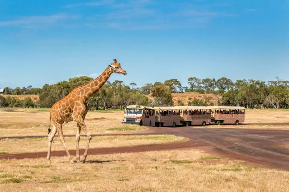 Melbourne: Werribee Open Range Zoo Admission Ticket | GetYourGuide