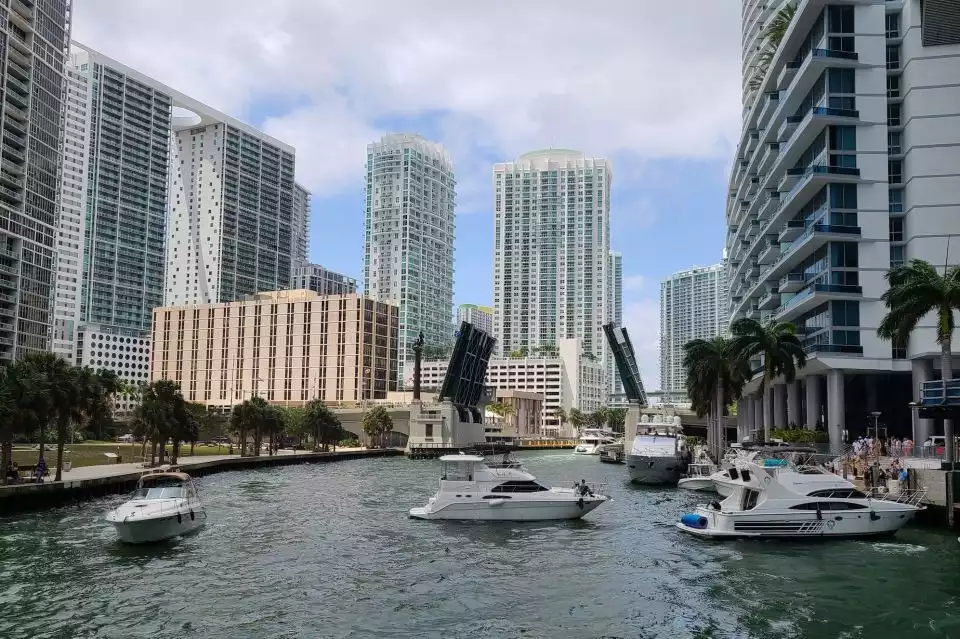 Miami: City Cruise to Millionaire's Homes & Venetian Islands | GetYourGuide