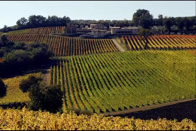 Wine tour in Umbria along the Sagrantino trail