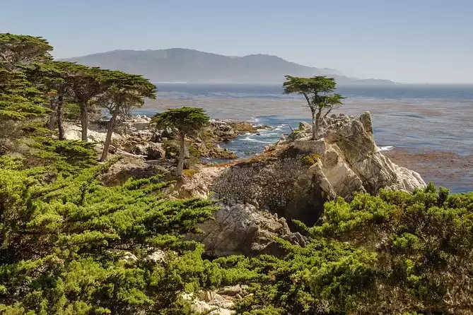 Monterey, Carmel and 17-Mile Drive - Full Day Tour from San Francisco