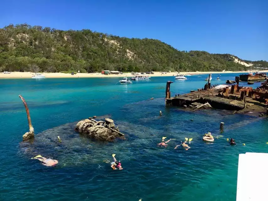 Moreton Island: Dolphin and Snorkel Cruise Adventure | GetYourGuide