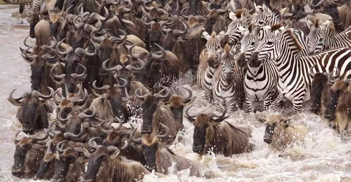 Nairobi: Private 5-Day Masai Mara, Nakuru, and Naivasha Tour | GetYourGuide