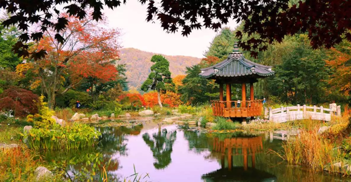 Nami Island, Korean Style Garden of Morning Calm & Rail Bike | GetYourGuide