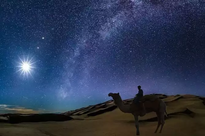 (Private Tour) Night Desert Safari, Camel Ride, Dune Bashing.