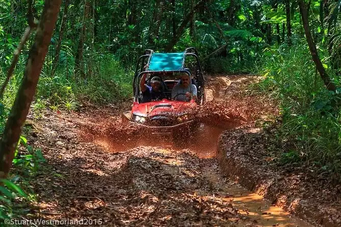 Off-Road Small-Group Jungle Driving Adventure with Lunch
