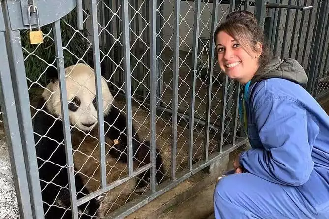 Dujiangyan Panda Volunteering Experience with Lunch