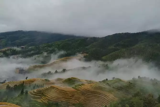 One Day Private Longshen Rice Terraces Tour Including Lunch