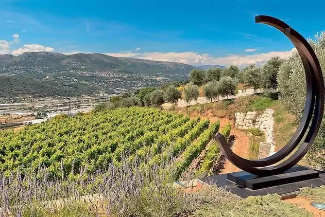 Provence Organic Wine Small Group Half Day Tour with Tastings from Nice