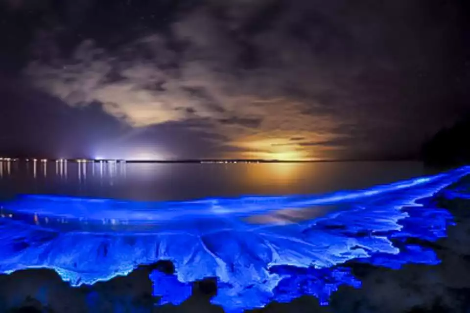 Orlando: Bioluminescence Kayak Tour | GetYourGuide