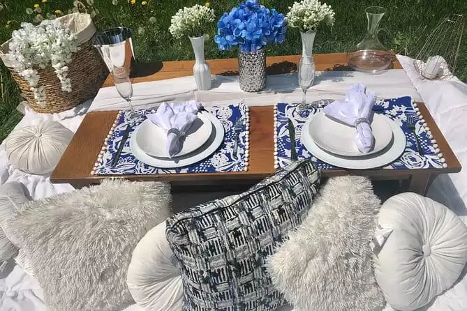 Outdoor Luxury Themed Picnic Setup in Detroit