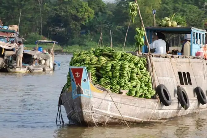 Private Luxury Mekong Delta full day from HCM city