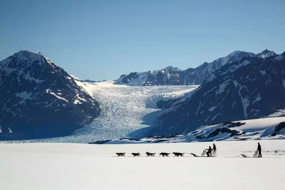 Palmer: Glacier Dogsled & Helicopter Tour | GetYourGuide