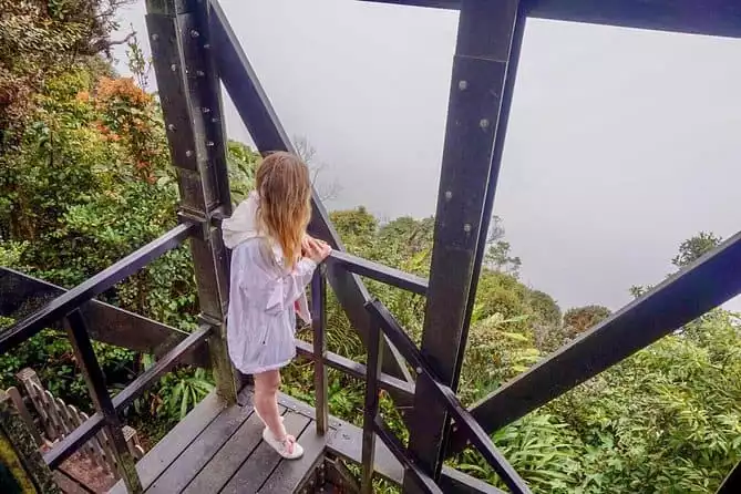 Experience the Real Cameron Highland from Penang