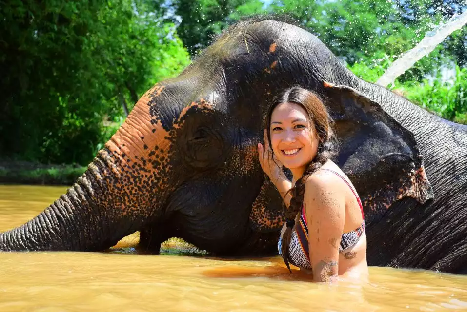 Phuket: Elephant Save & Care Program Tour | GetYourGuide